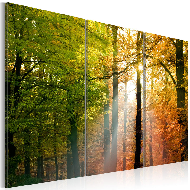 Glezna ar dabas tematiku - Mierīgs rudens mežs Home Trends
