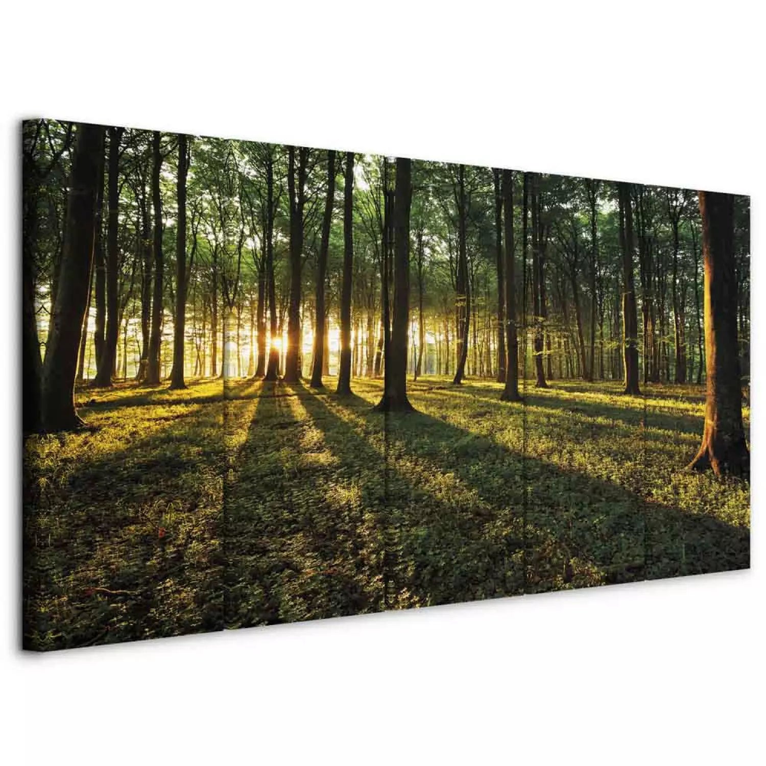 Kanva ar dabu - Ainava ar skatu uz saulainu mežu, 105758 200x80 Home Trends