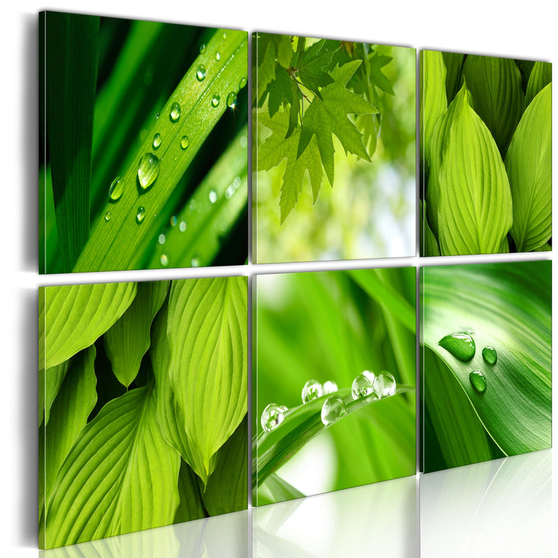 Glezna ar dabu - Svaigi zaļas lapas Home Trends