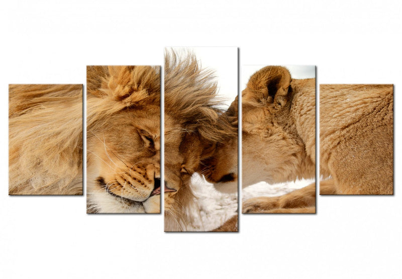 Glezna ar lauvām - Savvaļas mīlestība, 97578 Home Trends