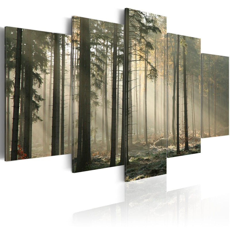 Glezna ar mežu - Gaisma tumšā mežā, 49935 Home Trends
