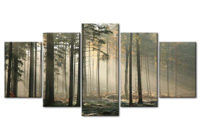 Glezna ar mežu - Gaisma tumšā mežā, 49935 Home Trends
