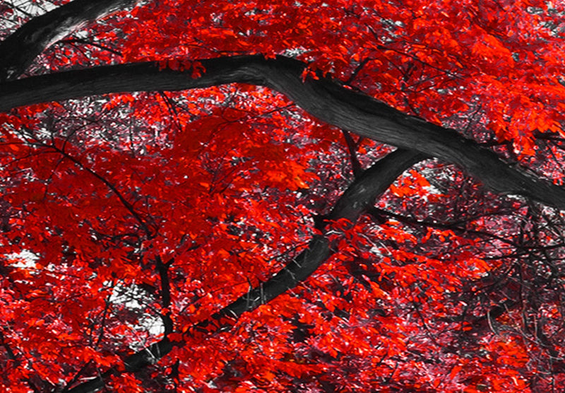 Kanva ar rudens skatu - Rudens parkā (5 daļas), horizontāla Home Trends