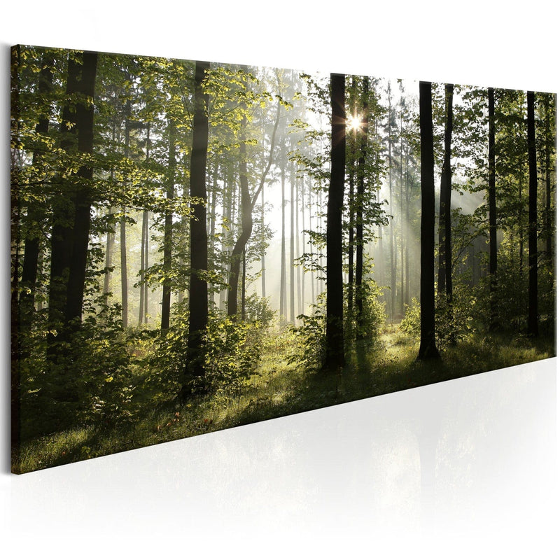 Glezna ar saulainu mežu - Skaists rīts, 97940 Home Trends