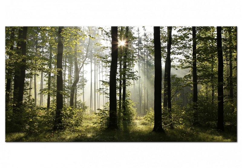 Glezna ar saulainu mežu - Skaists rīts, 97940 Home Trends