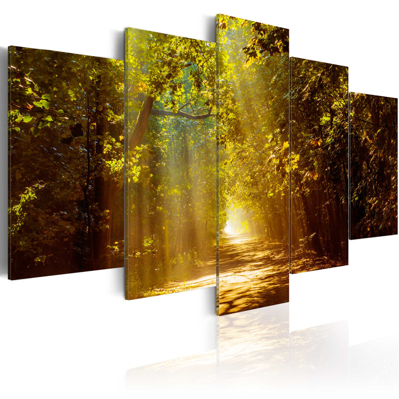 Kanva ar skaistu dabu - Mežs saules gaismā Home Trends