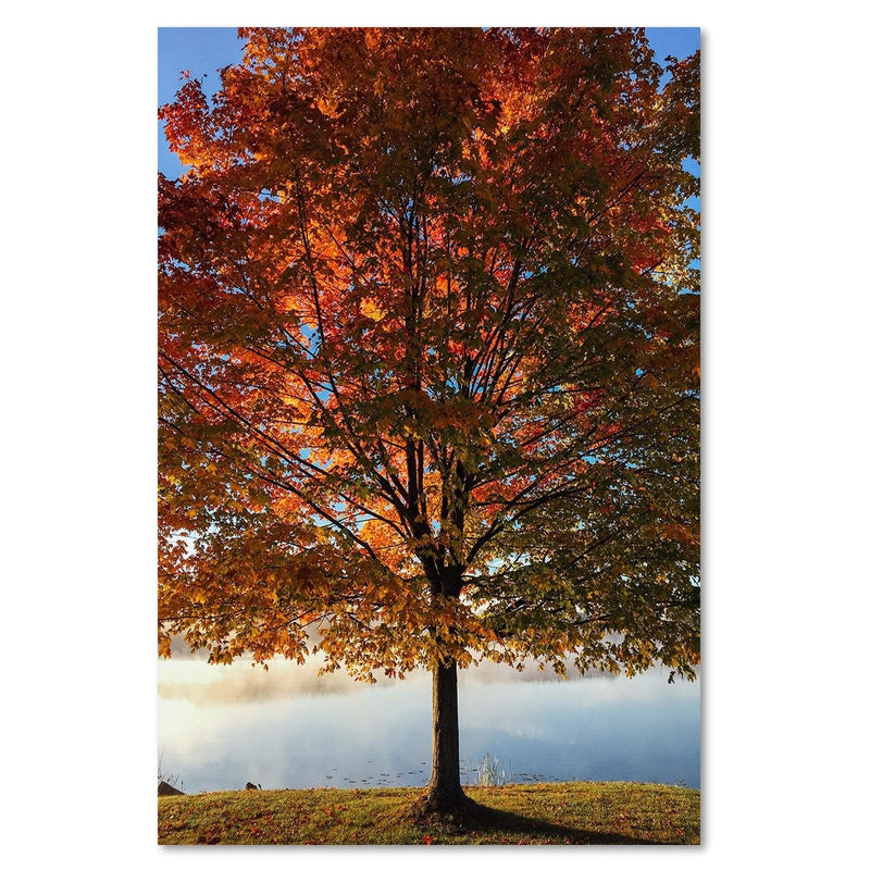 Kanva - Autumn Tree  Home Trends DECO
