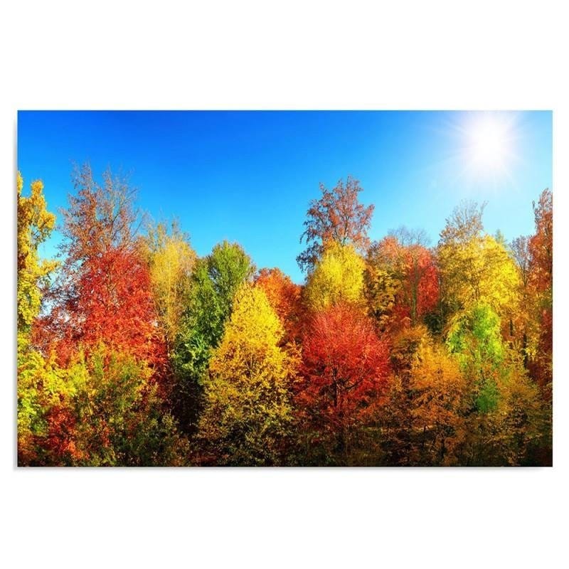 Kanva - Autumn Trees  Home Trends DECO