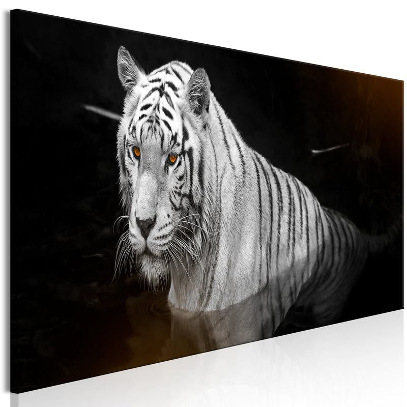 Glezna - Baltais tīģeris uz melna fona (1 daļa) Home Trends