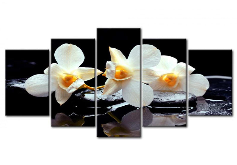 Glezna – Baltas orhidejas uz melna fona, 58528 Home Trends