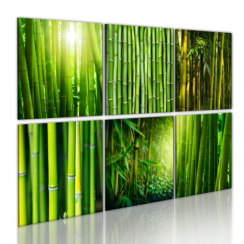 Kanva - Bamboo has many faces Home Trends