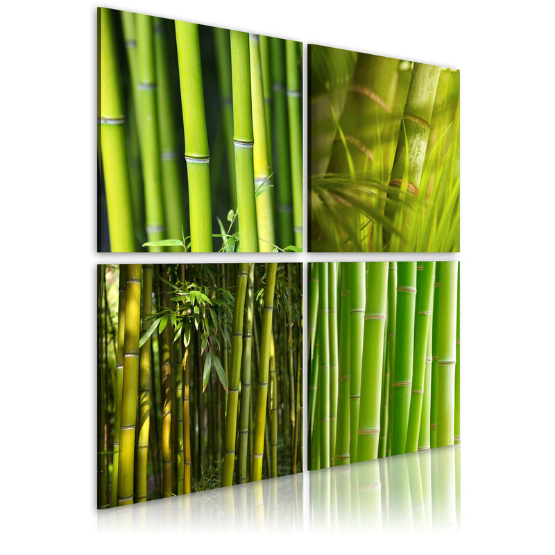 Glezna - Bamboos Home Trends