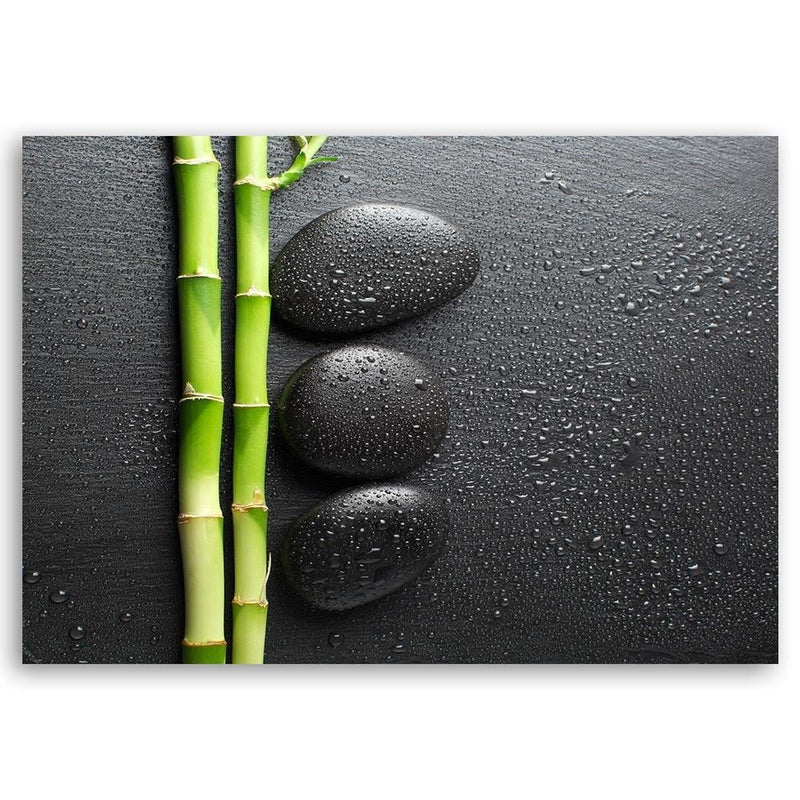 Kanva - Bamboos On The Black Stones  Home Trends
