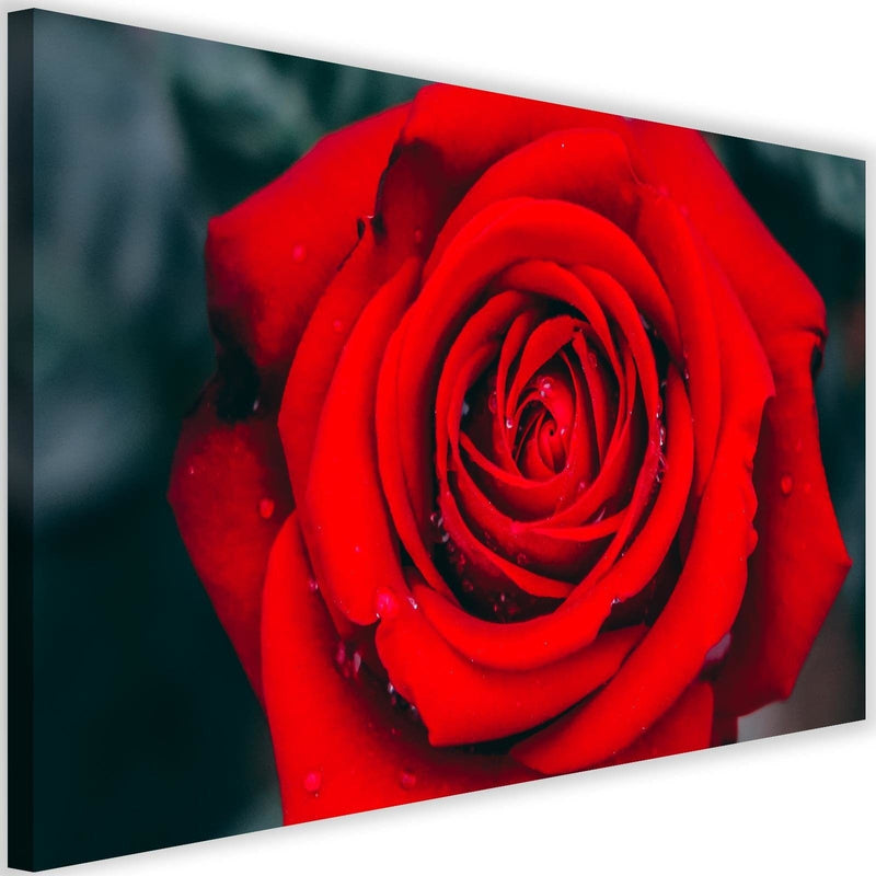Kanva - Beautiful Red Rose 2  Home Trends DECO