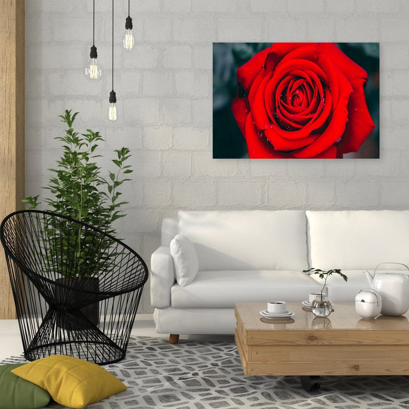 Kanva - Beautiful Red Rose 2  Home Trends DECO