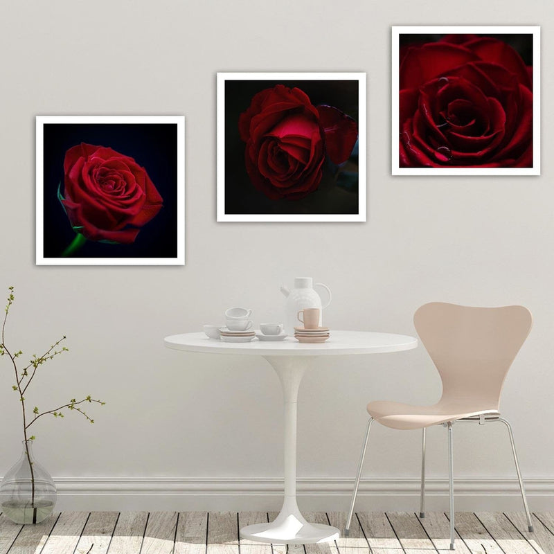 Kanva - Beautiful Red Rose  Home Trends DECO