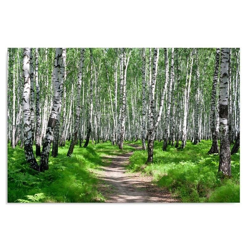 Kanva - Birch Forest 2  Home Trends DECO