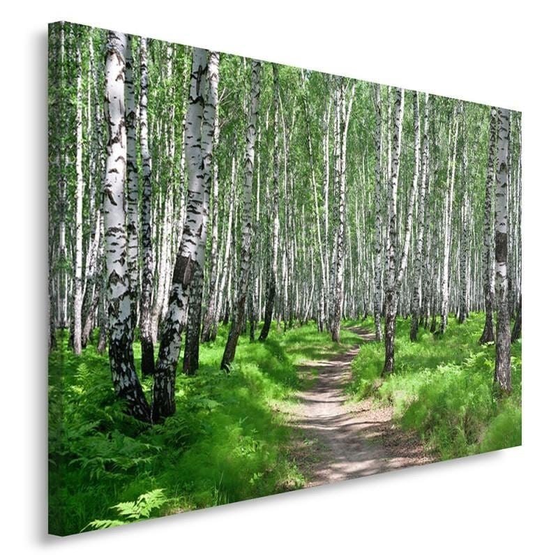 Kanva - Birch Forest 2  Home Trends DECO