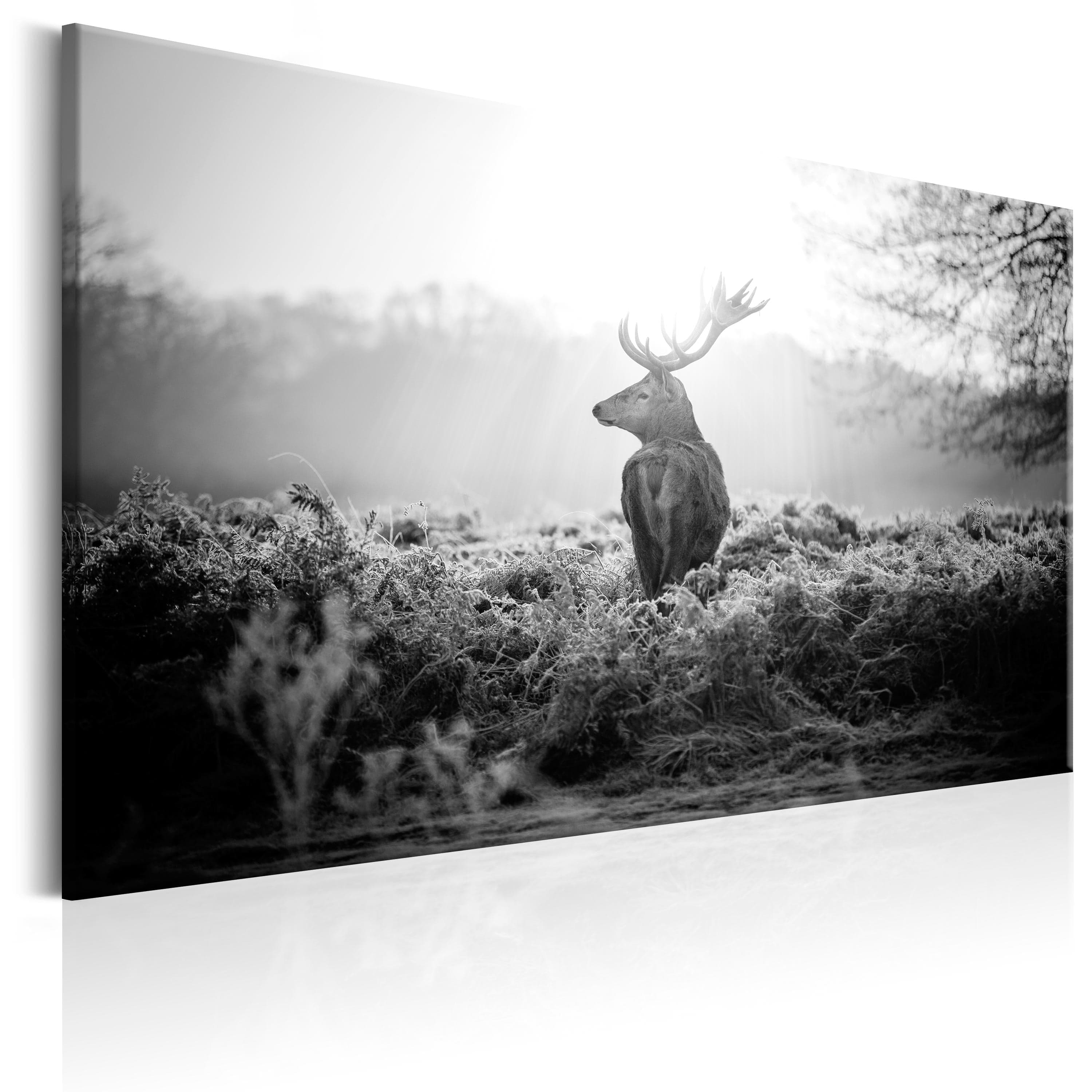 Glezna - Black and White Deer Home Trends