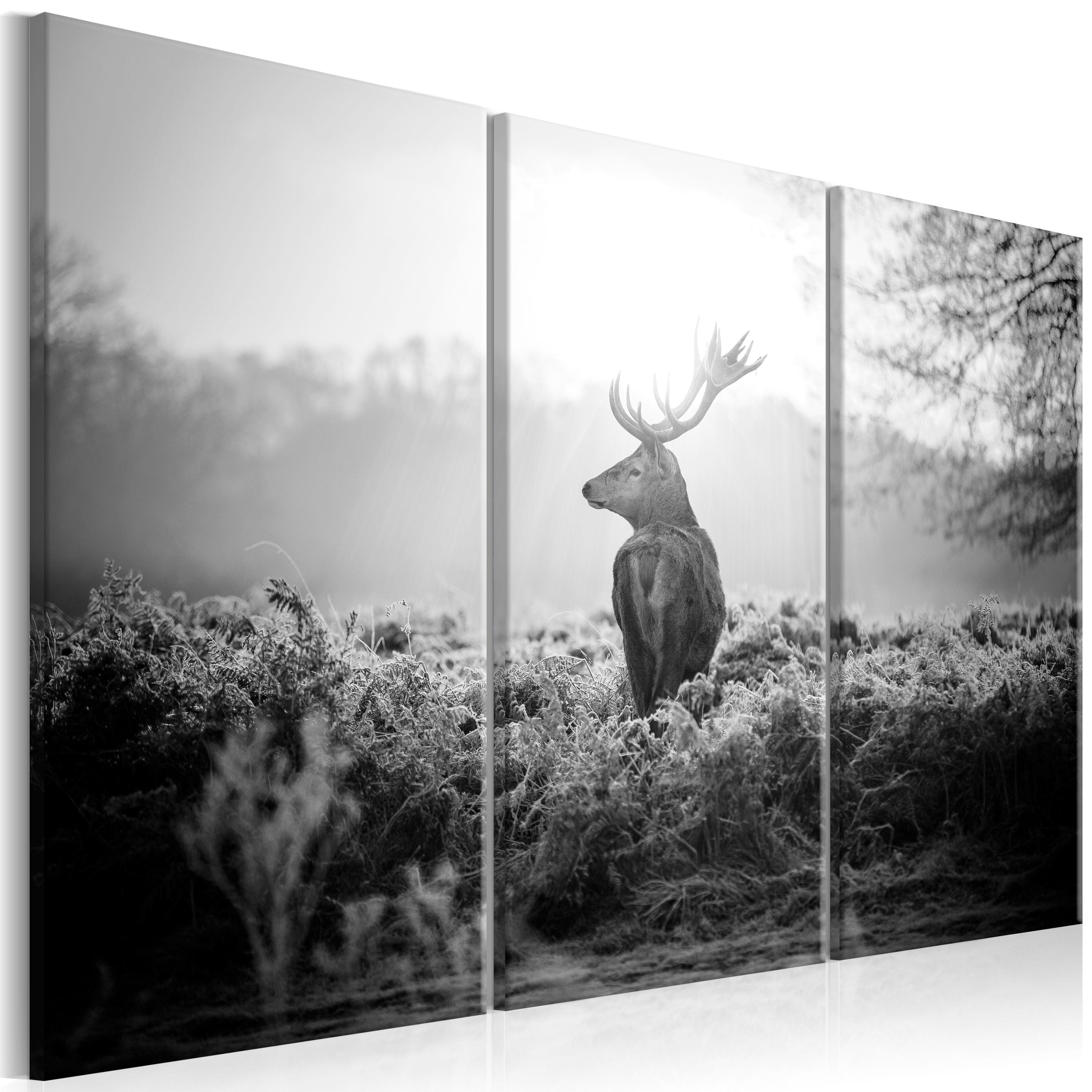 Glezna - Black and White Deer I Home Trends