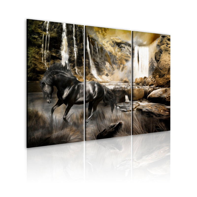 Glezna - Black horse and rocky waterfall Home Trends