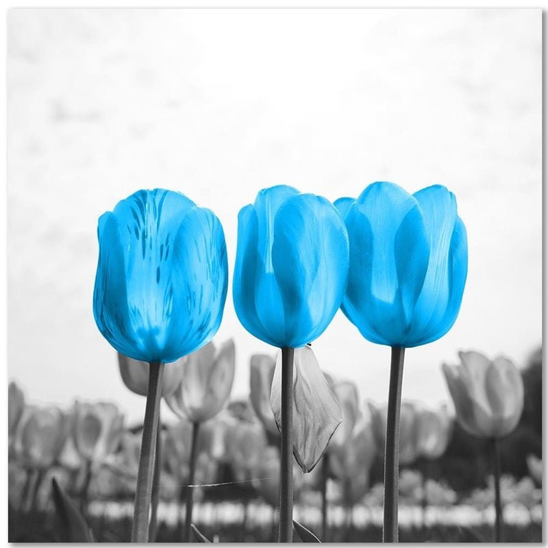 Kanva - Blue Tulips  Home Trends DECO