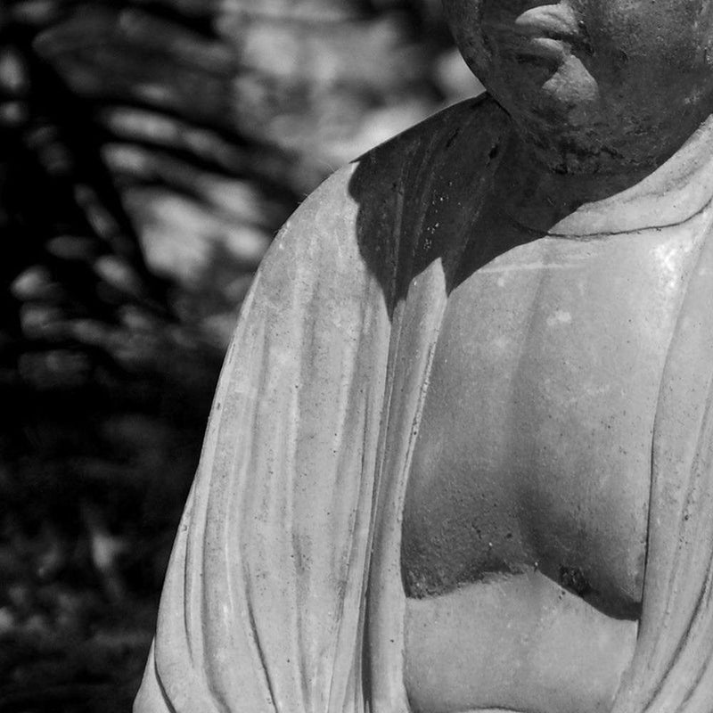 Kanva - Buddha Between The Trees 3  Home Trends DECO