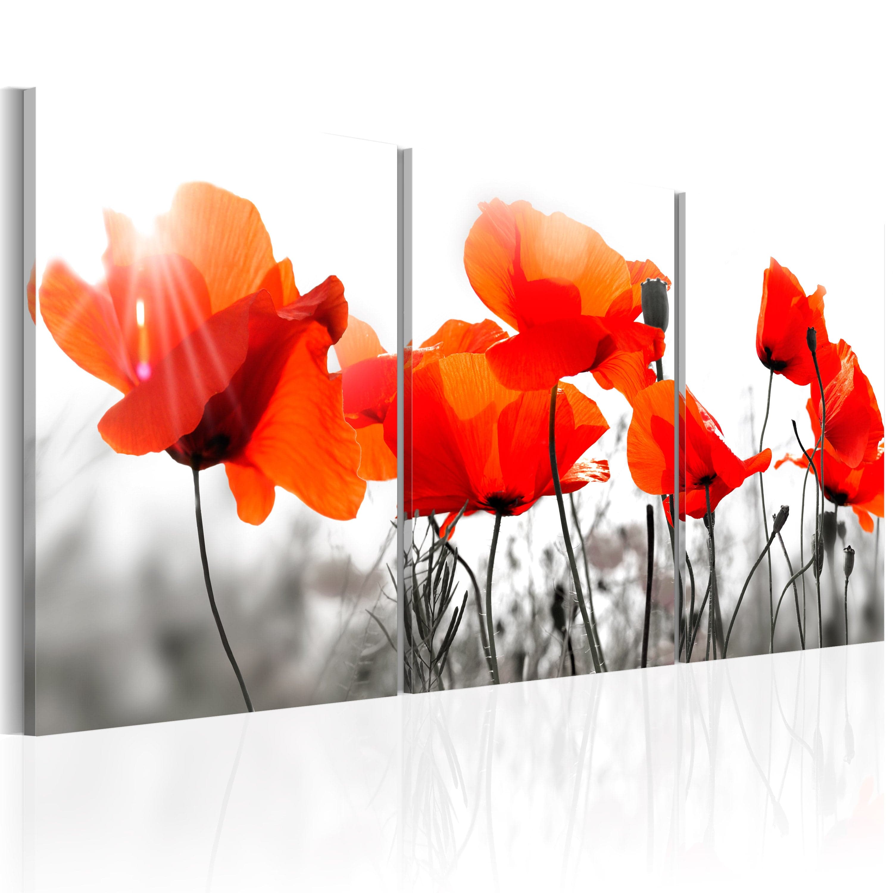 Glezna - Charming Poppies Home Trends