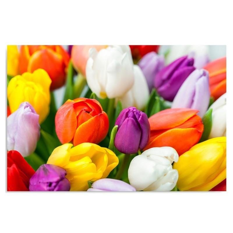 Kanva - Colorful Tulips  Home Trends DECO