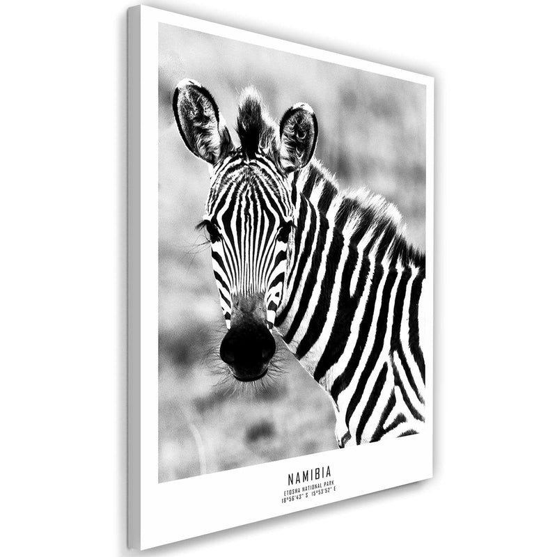 Kanva - Curious Zebra  Home Trends DECO