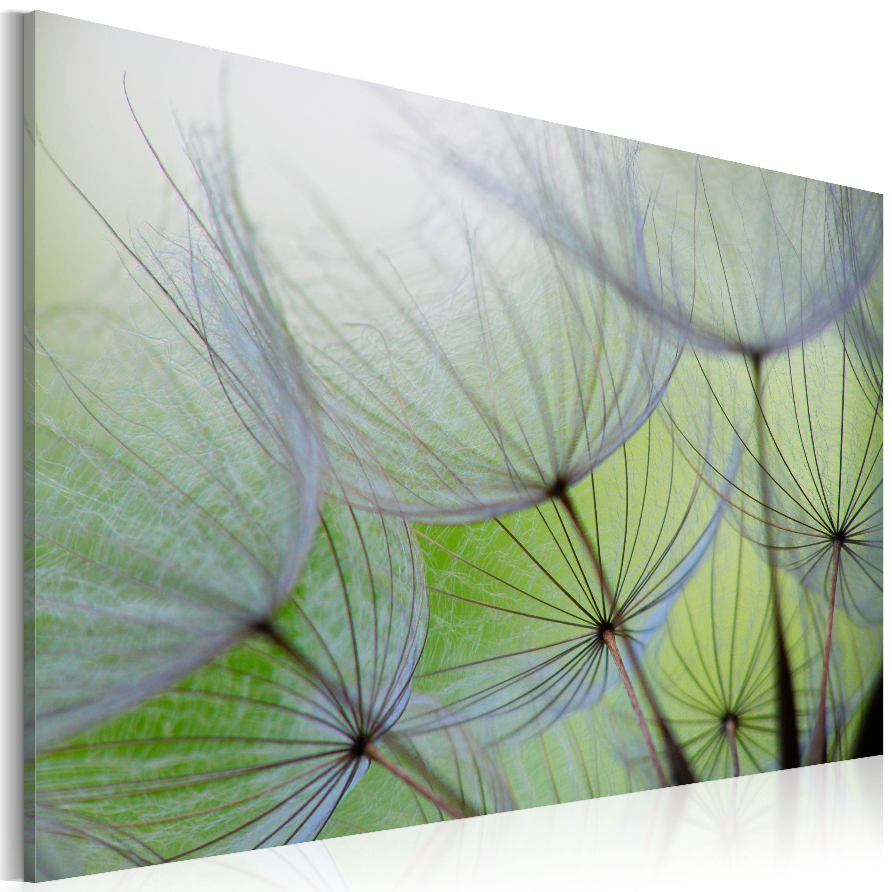Glezna - Dandelion in the wind Home Trends
