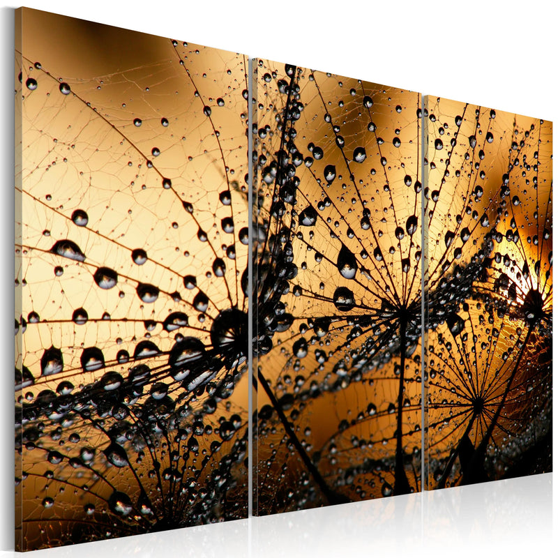 Kanva - Dandelions and dew Home Trends