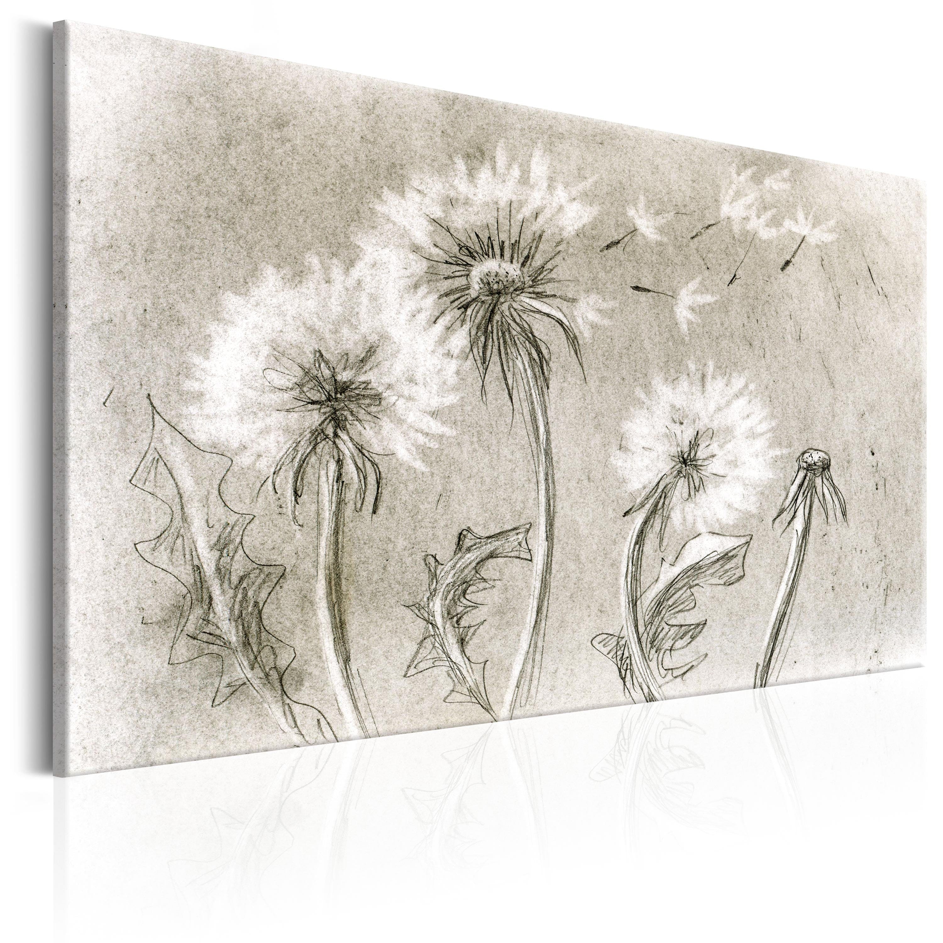 Glezna - Dandelions (Pencil Artwork) Home Trends
