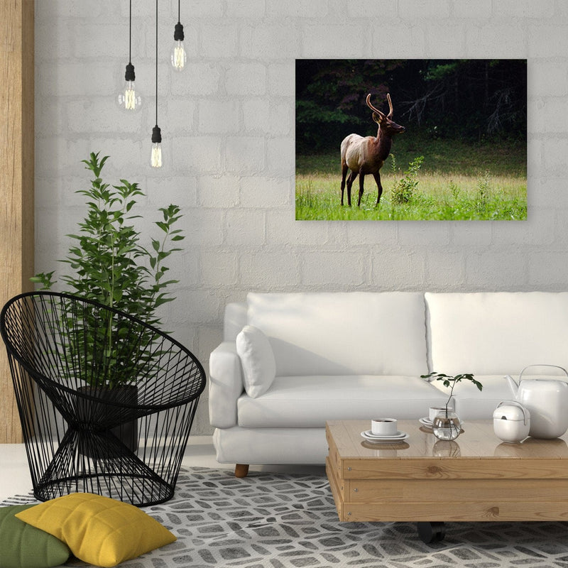 Kanva - Deer In The Meadow  Home Trends DECO
