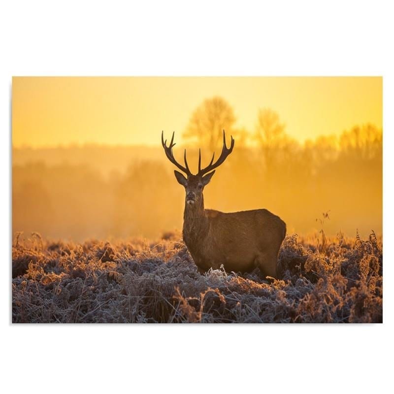 Kanva - Deer Sunset 2  Home Trends DECO