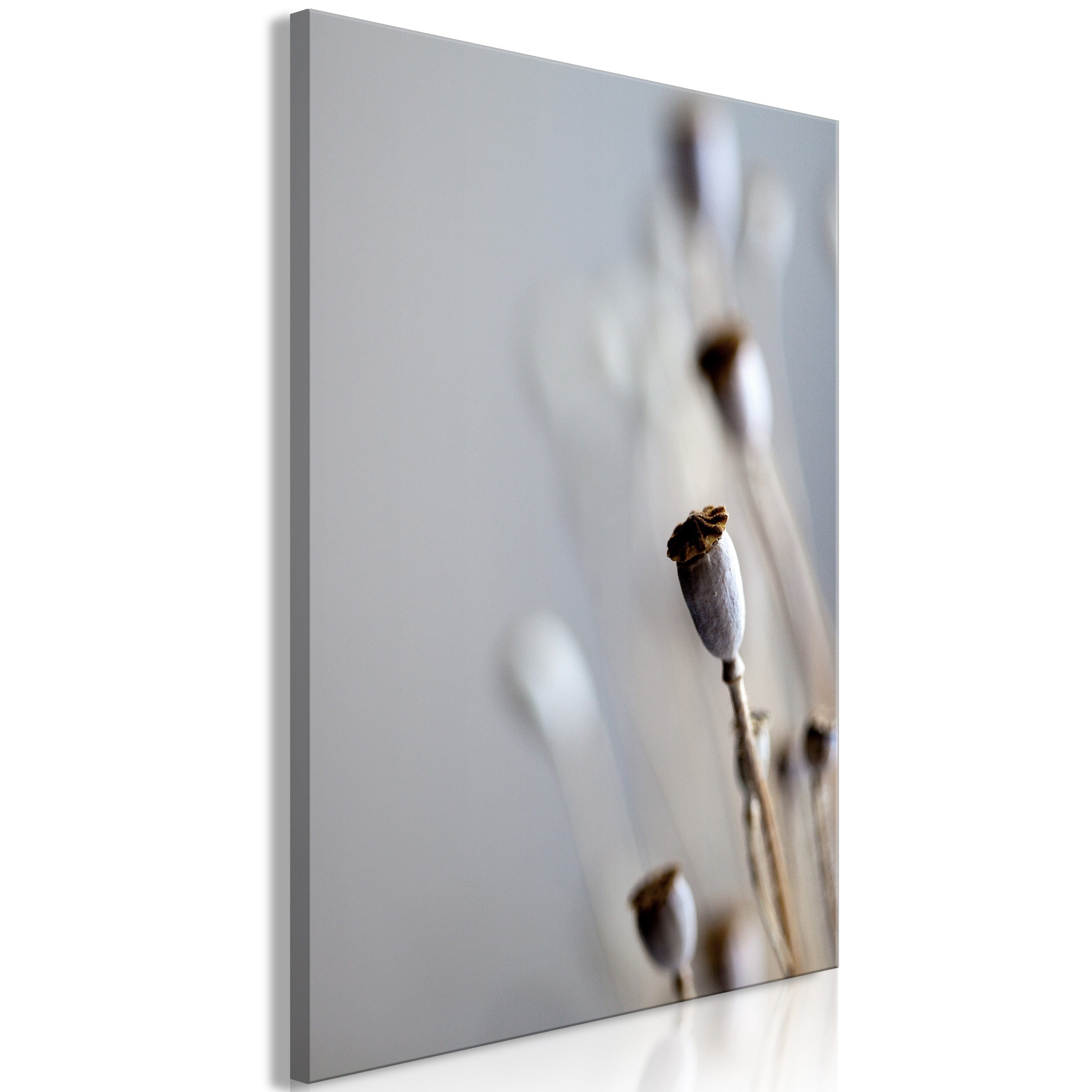 Glezna - Dried Poppies (1 Part) Vertical Home Trends
