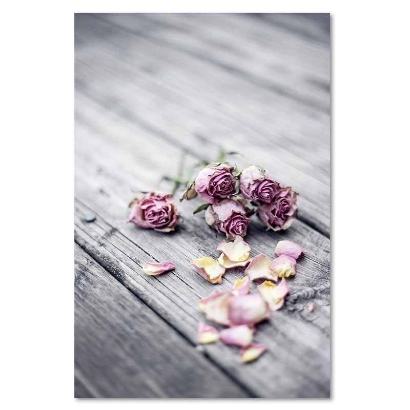 Kanva - Dried Roses  Home Trends DECO