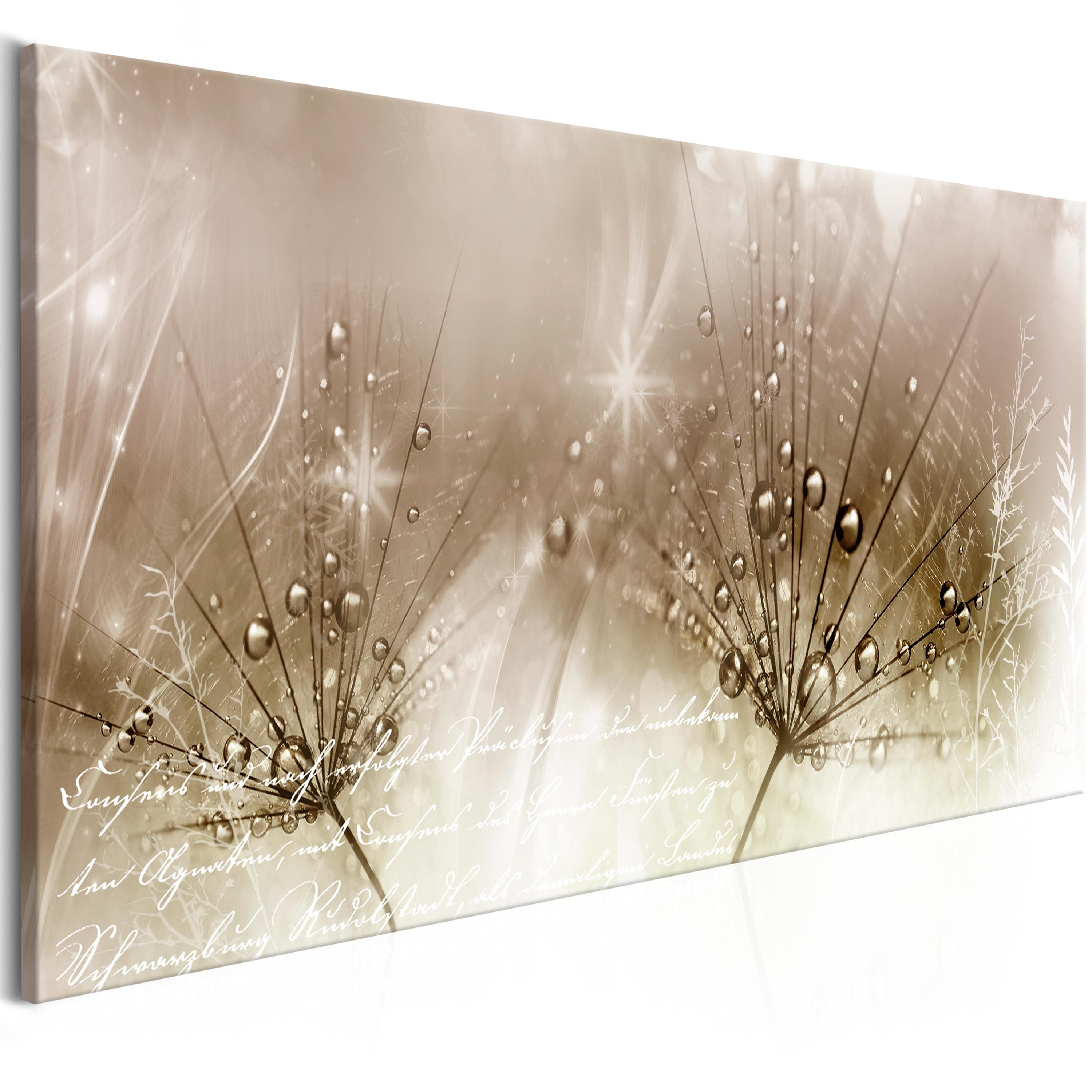 Glezna - Drops of Dew (1 Part) Brown Wide 100x45 Home Trends