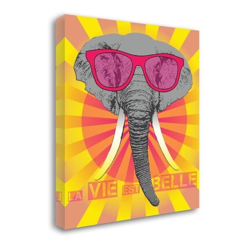 Kanva - Elephant Glasses  Home Trends DECO