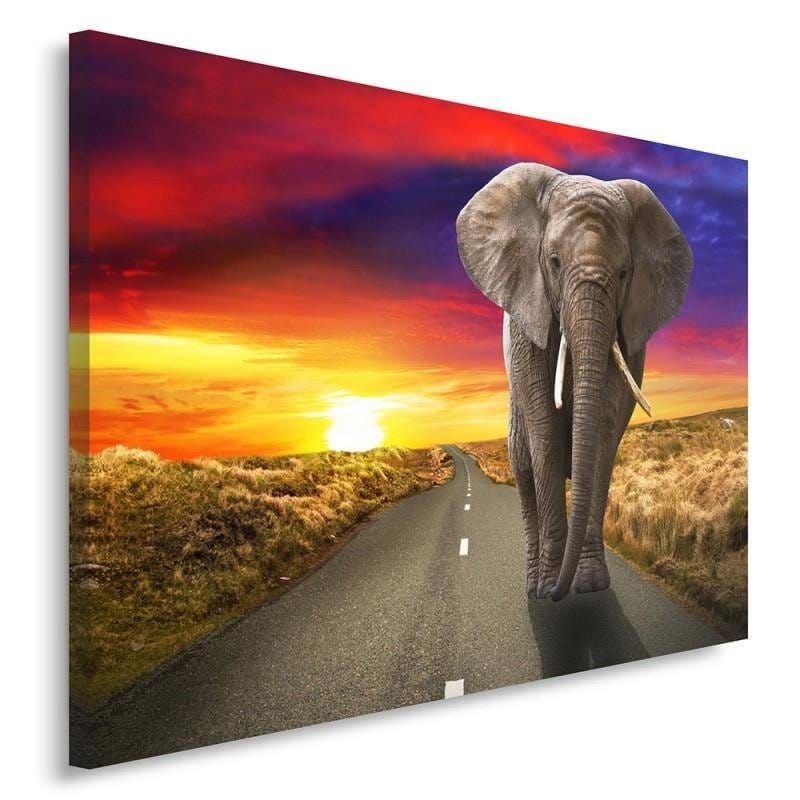 Kanva - Elephant On The Highway  Home Trends DECO