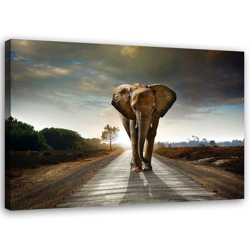 Kanva - Elephant On The Road  Home Trends