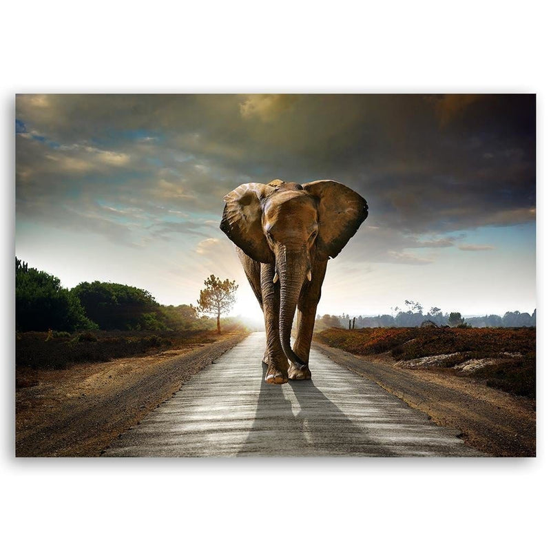 Kanva - Elephant On The Road  Home Trends