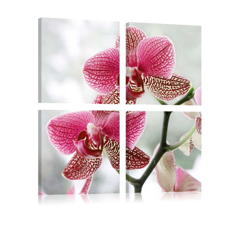 Glezna - Fancy orchid Home Trends