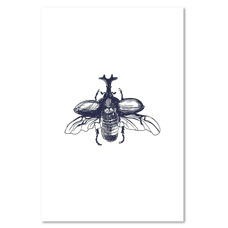 Kanva - Flying Beetle  Home Trends DECO