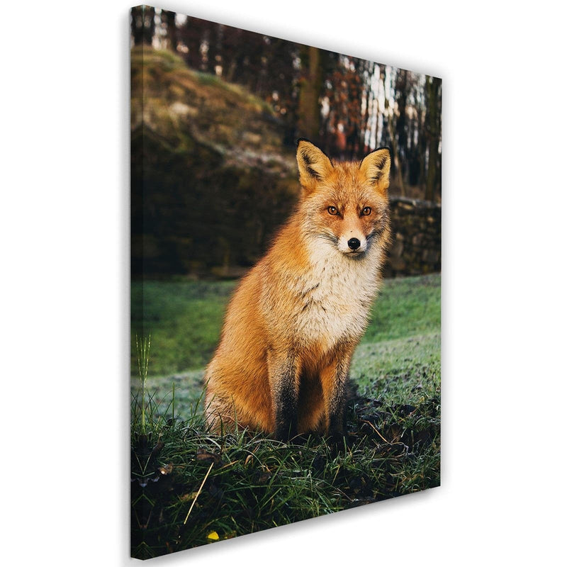 Kanva - Fox In The Woods  Home Trends DECO