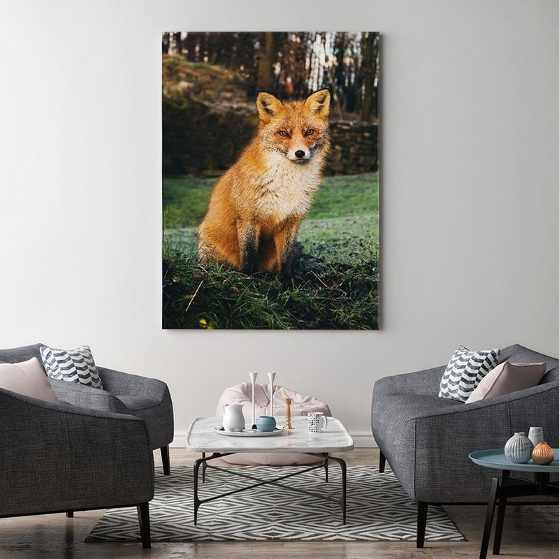 Kanva - Fox In The Woods  Home Trends DECO