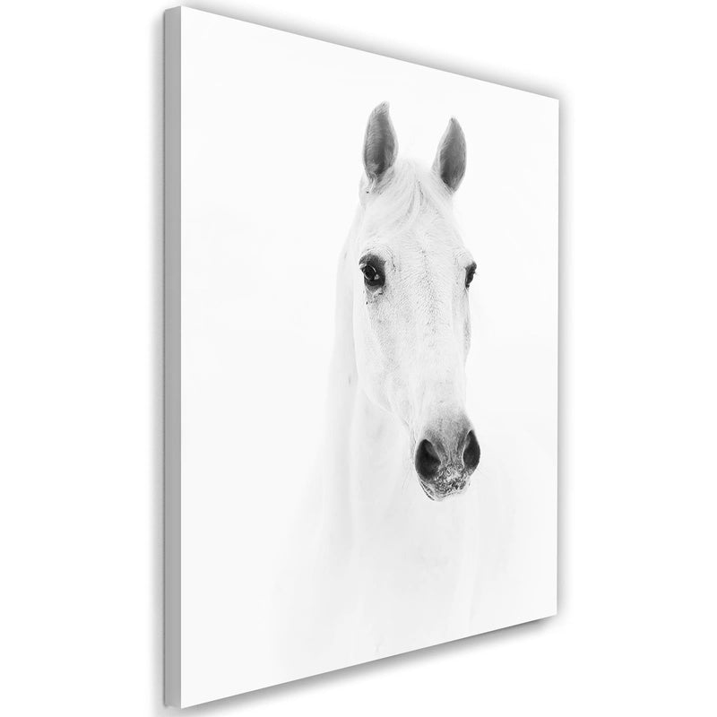 Kanva - Gray Horse  Home Trends DECO
