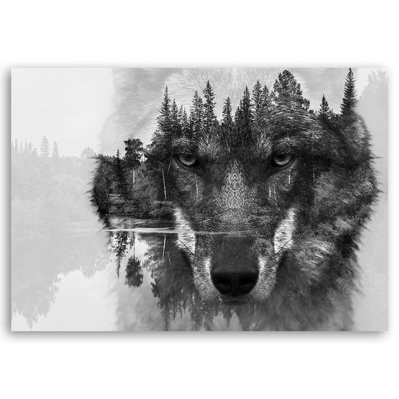 Kanva - Gray Wolf  Home Trends