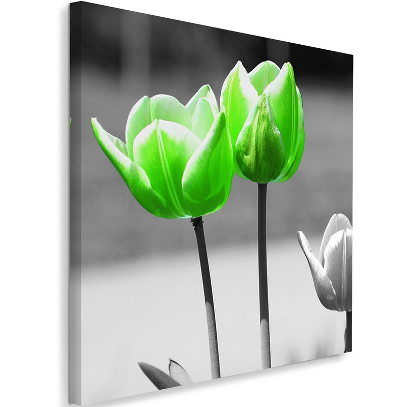 Kanva - Green Poppies In Gray  Home Trends DECO