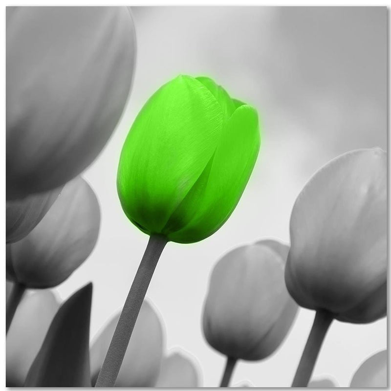 Kanva - Green Poppy Flower  Home Trends DECO